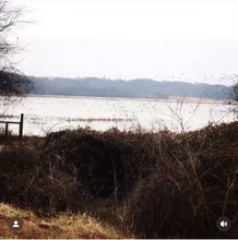 Load and play video in Gallery viewer, Duck Hunt W/ Lodging per person
